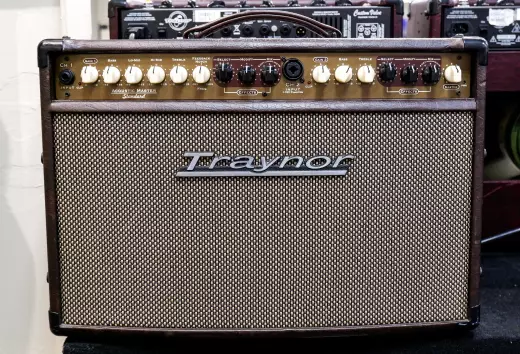 Traynor - AM Standard 2-Channel Stereo Acoustic Guitar Amp - 150 Watts